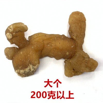 九蒸九晒黄精个九华山黄精个 鸡头炙黄精个 制肉头油头九制黄精茶