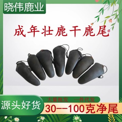 马鹿尾干鹿尾巴整条35克 净尾煲汤泡酒