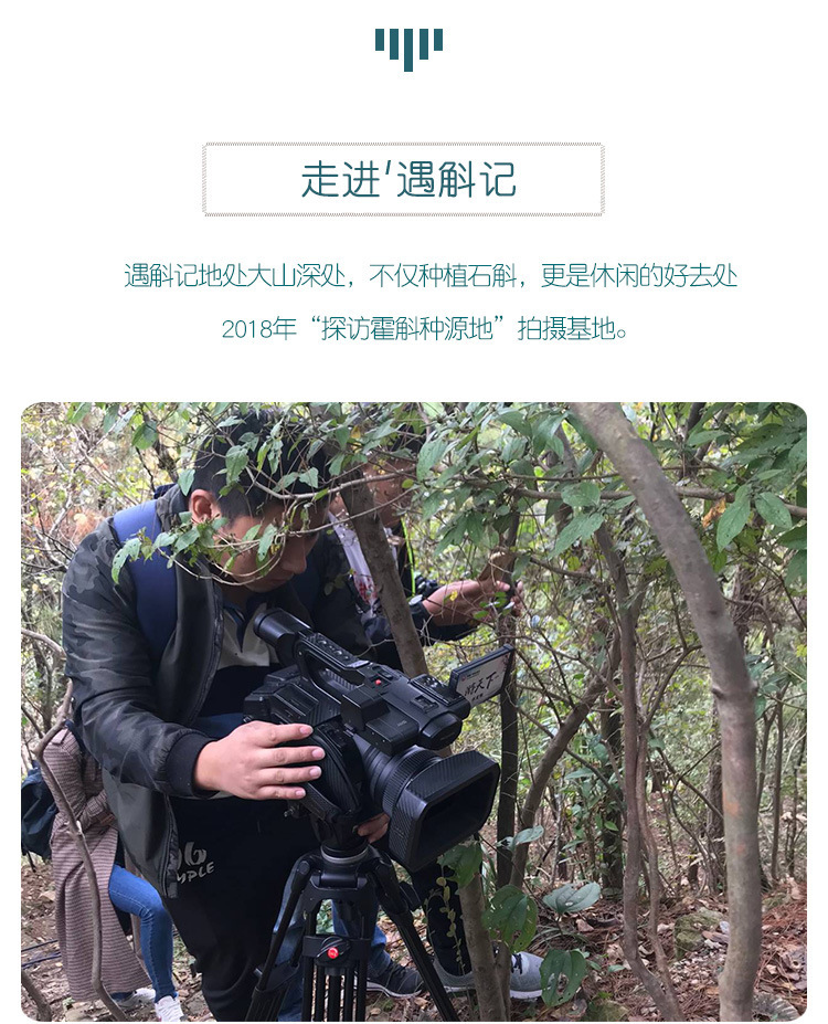 O1CN01nrKPhq1KxNtYsWXNB_!!4118