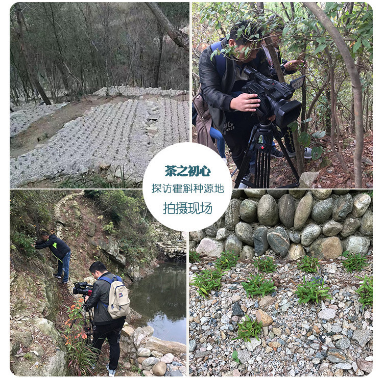 O1CN0121HCVV1KxNtWak5bT_!!4118