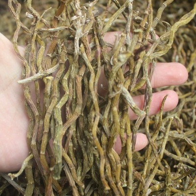 铁皮石斛芽烤 短芽条 铁皮干条 胶好无渣 会销展会货源