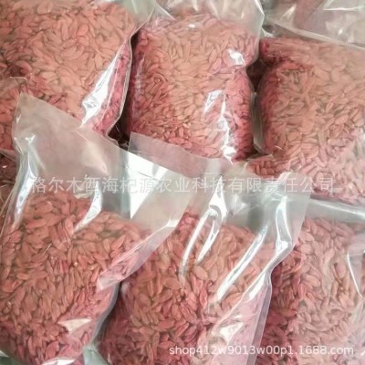 新货枸杞子红枸杞干度好甜度好挑选干净的农产品无流大量批非宁夏