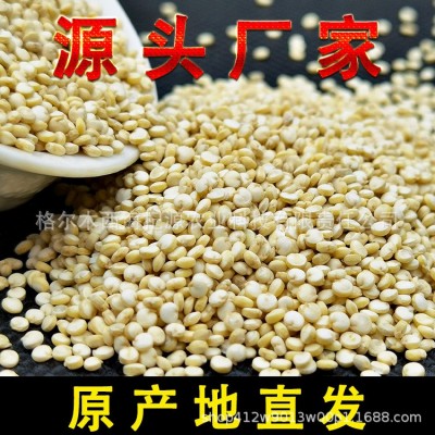 青藜 青海 黑红白三色藜麦 白色藜麦 青藏高原藜麦 杂粮粗粮