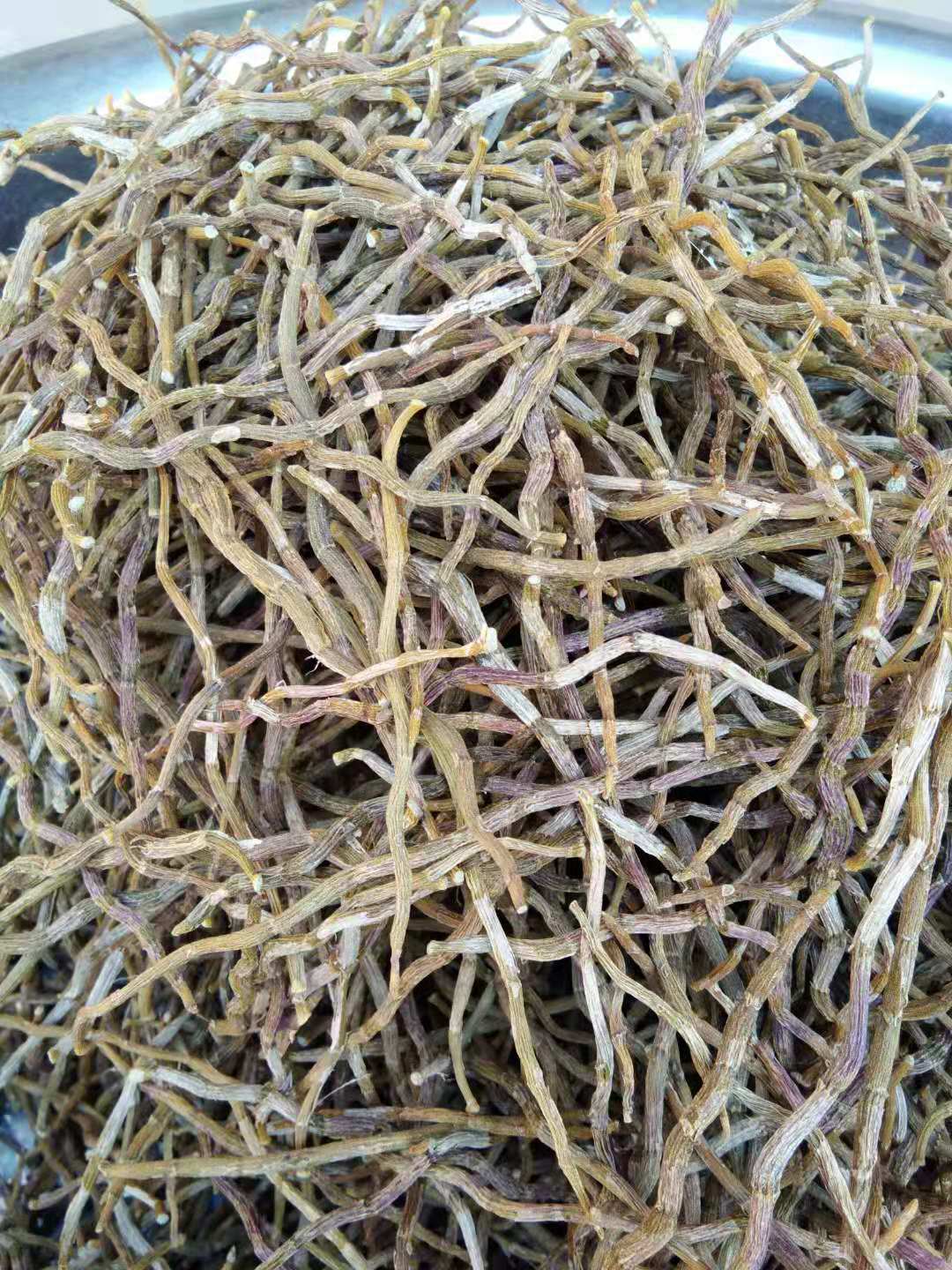 微信图片_20190314035842