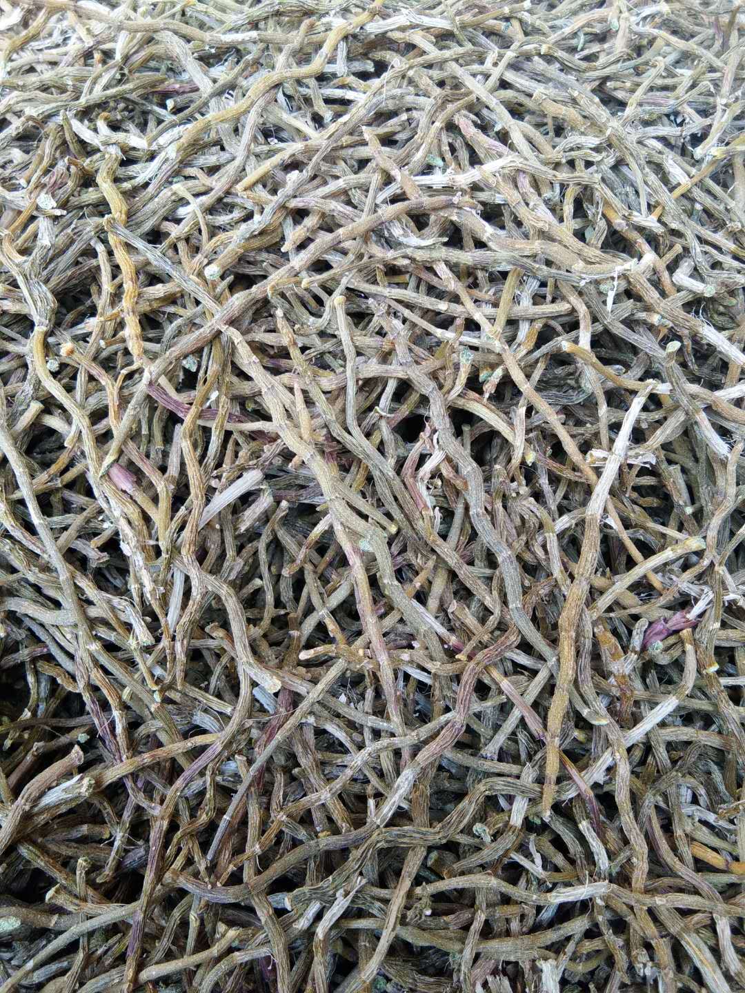 微信图片_20190501055627