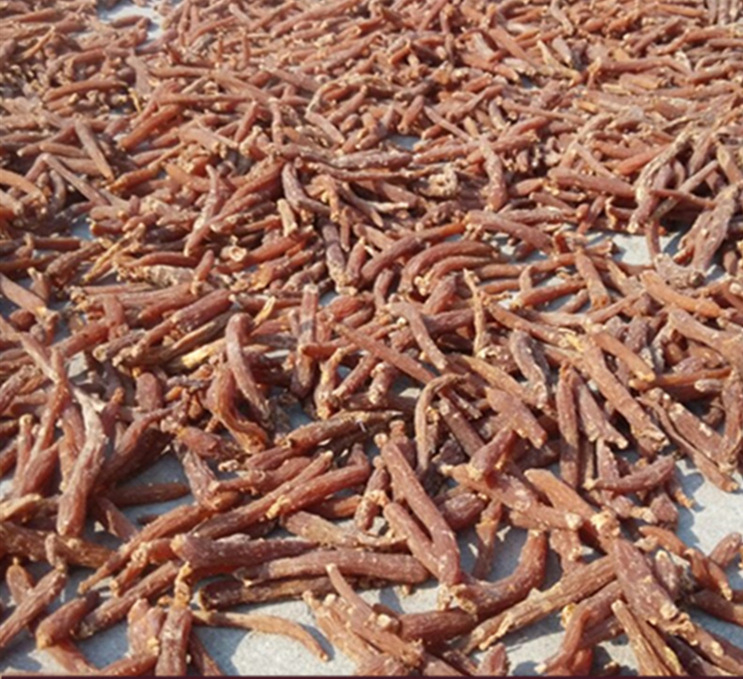 TB2BuPujgRkpuFjy1zeXXc.6FXa_!!