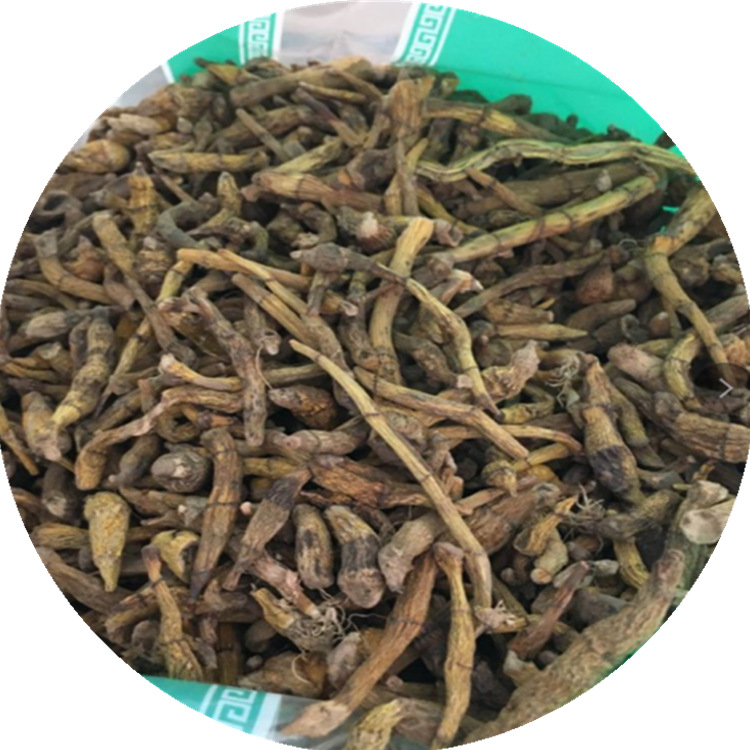 石斛_副本++++++++++++++++