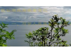 抚仙湖旅游漫记——与亲人旅居在禄充风景区 (145播放)