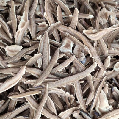 产地直供灵芝片 灵芝切片 紫灵芝片