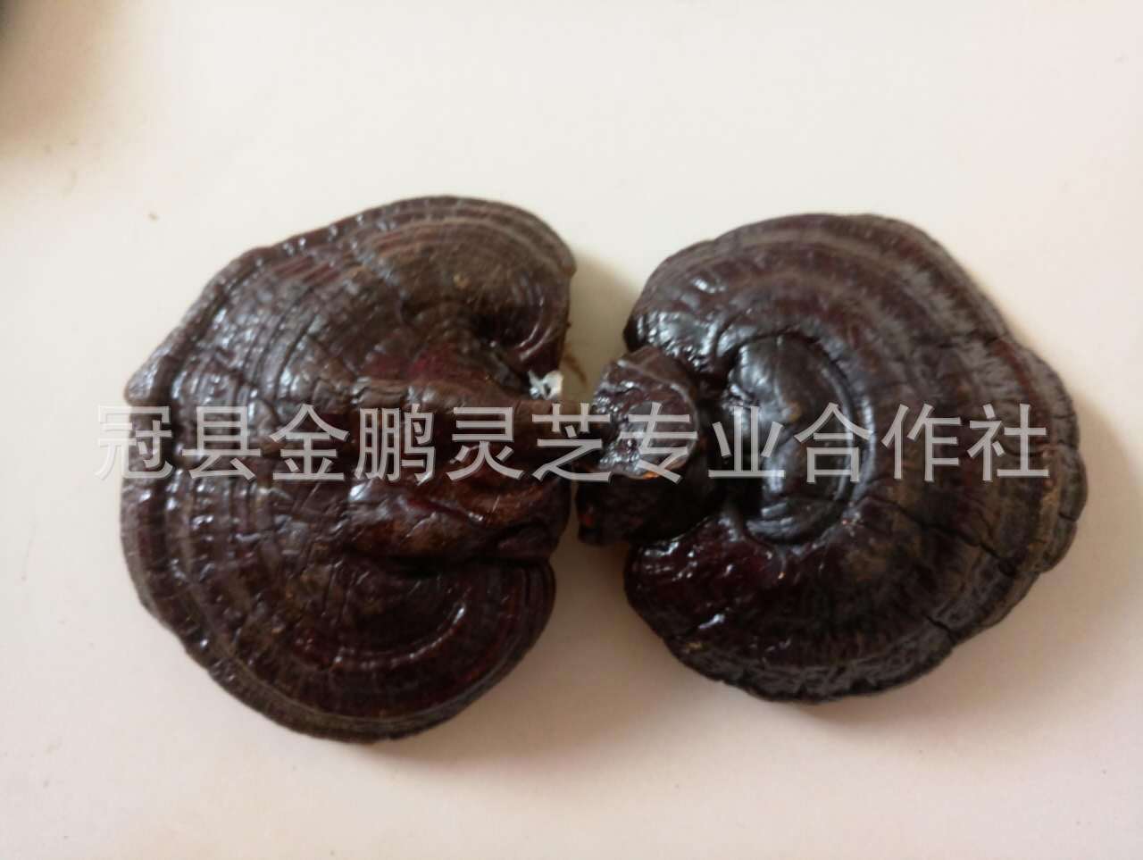 微信图片_20170916110302