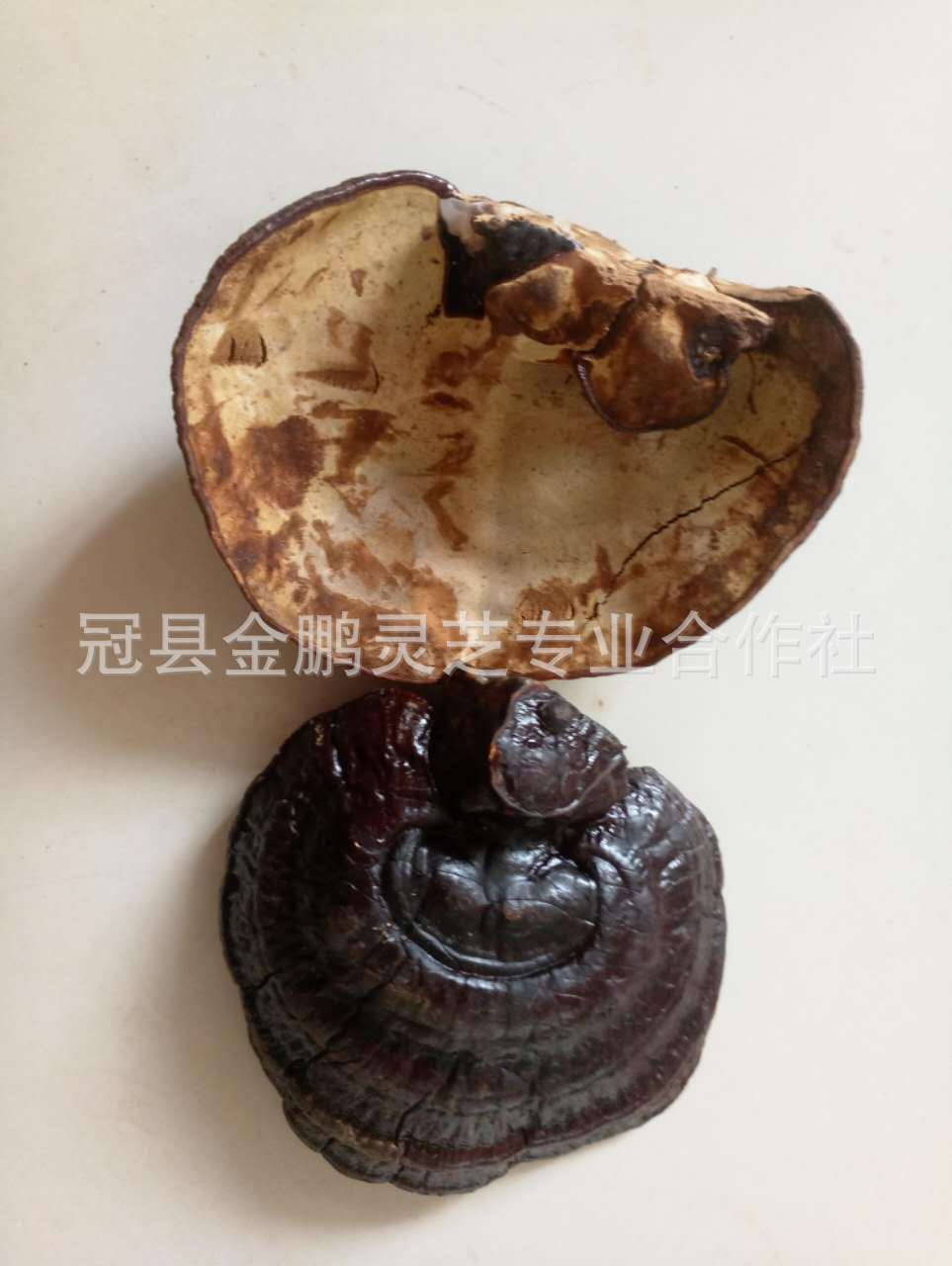 微信图片_20170916110310