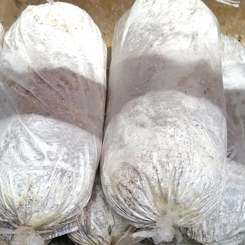 a06f3197228361400b5f00ef6c851a