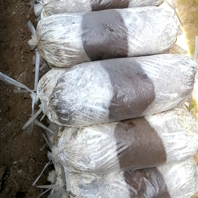 85e87606e9c26195a1579df417a4a2