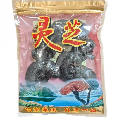 精选产地现货批发专用大号黑灵芝紫灵芝带货煲汤泡茶仿野生带包装