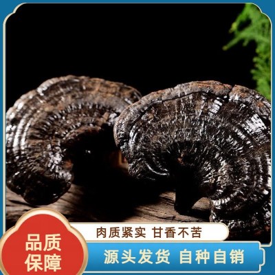 咨询 客服  全网比价  手机 下单  采购车  问题 反馈 现货批发黑灵芝无柄黑灵芝不苦灵芝整枝切片产地直发泡酒煲汤带货