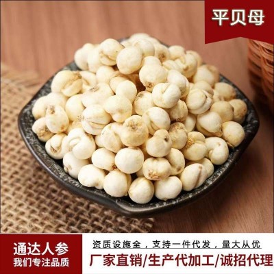 长白山平贝母250g袋装可磨粉厂家批发新货平贝母一件代发量大包邮