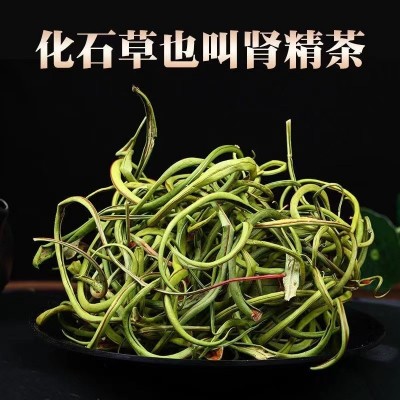 【东北三宝】肾精茶 东北长白山特产化石草嗷嗷叫肾精草茶