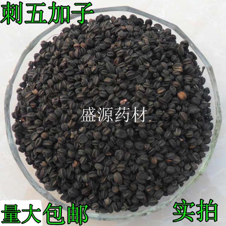 刺五加籽