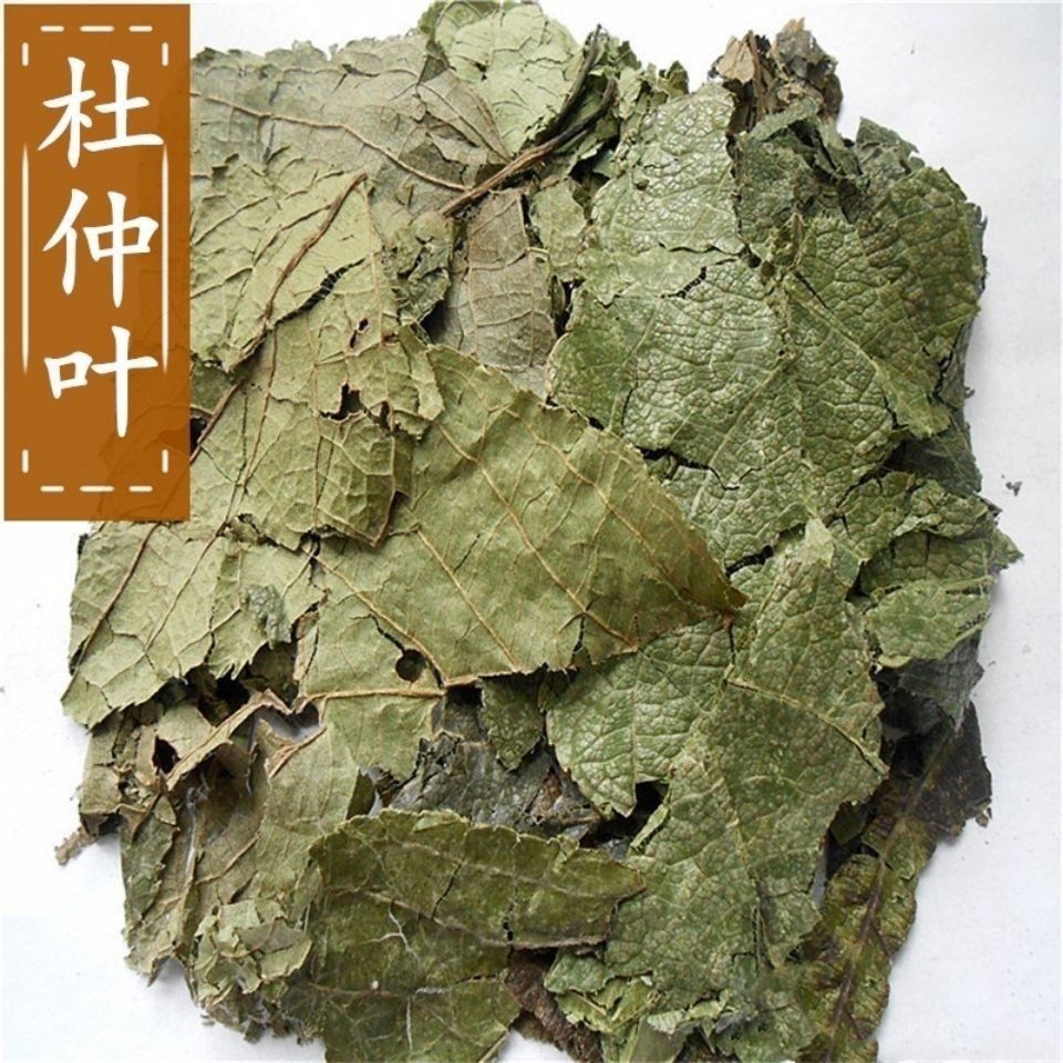 黄毛耳草35