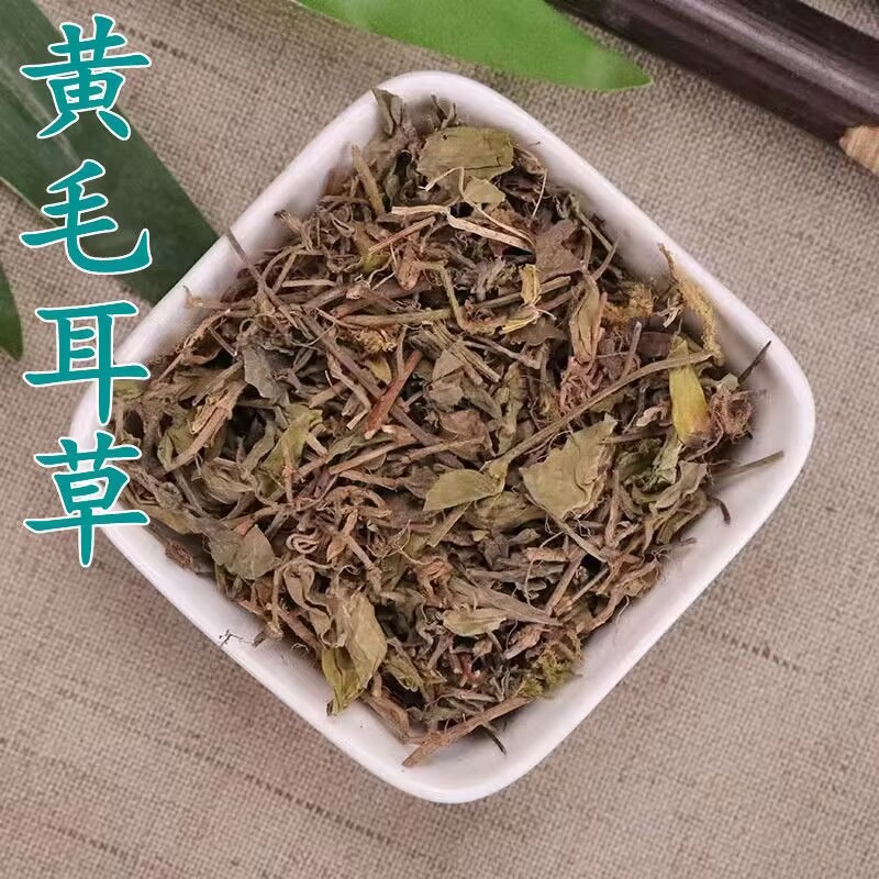 黄毛耳草9