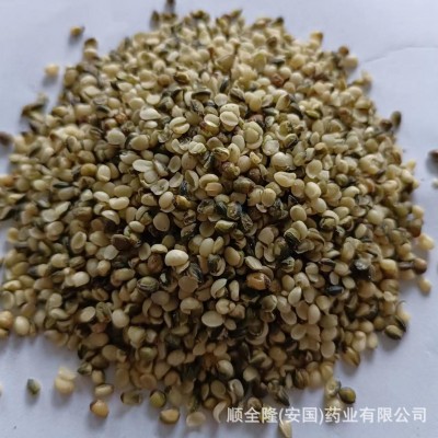 中草药 火麻仁 安国厂家批发带合格证质检发票，量大优惠欢迎代理