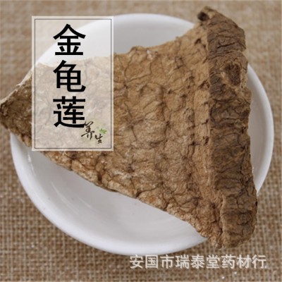 罗锅底,雪胆,金龟莲, 罗锅底 制香料专用 代加工细粉