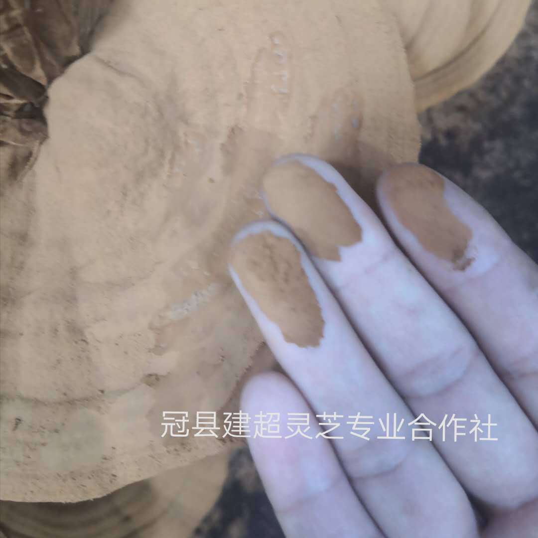 微信图片_20190702151954