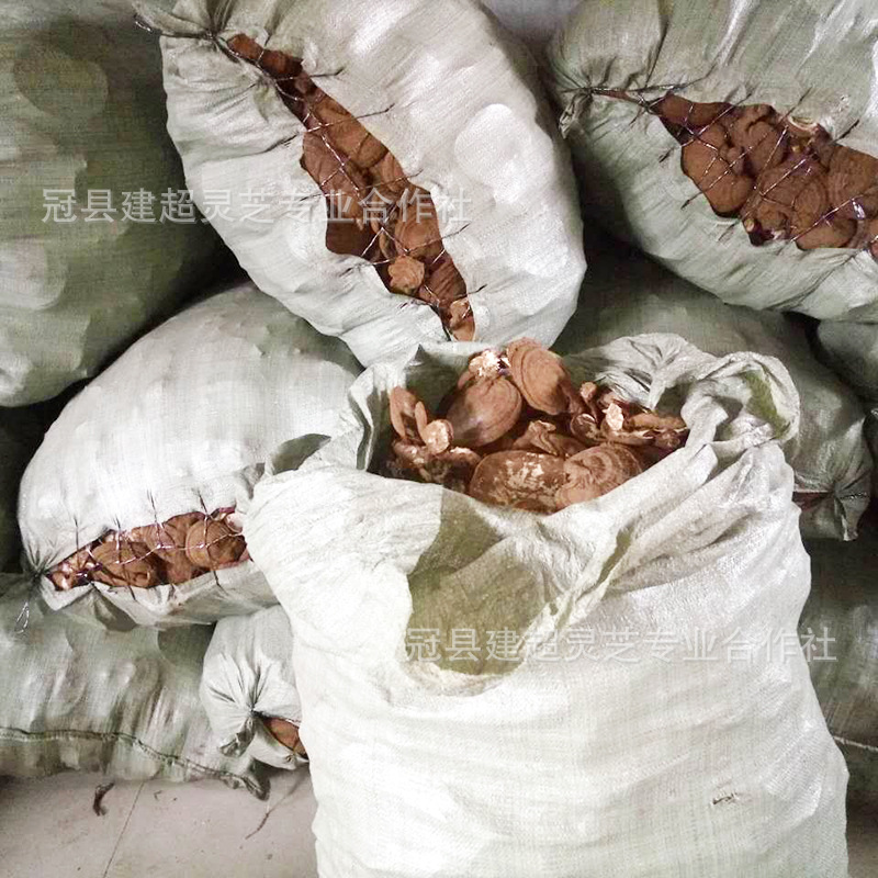 微信图片_20190702114545