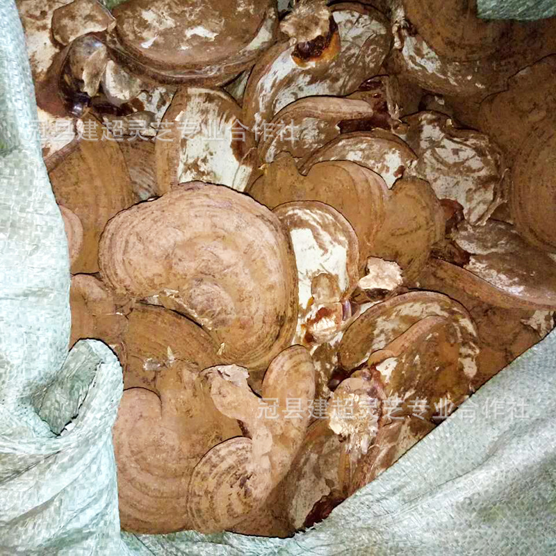 微信图片_20170814185521