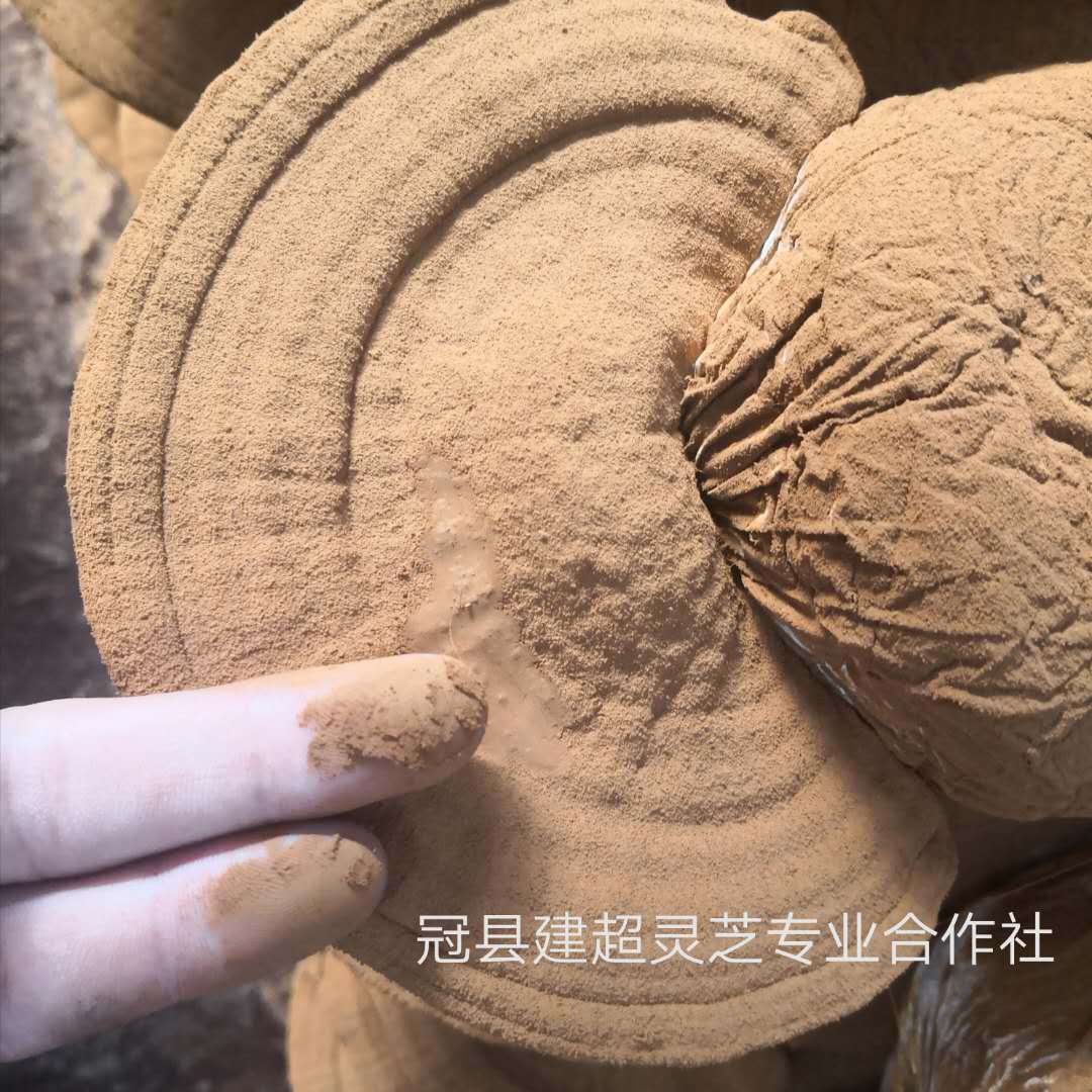 微信图片_20190703103205