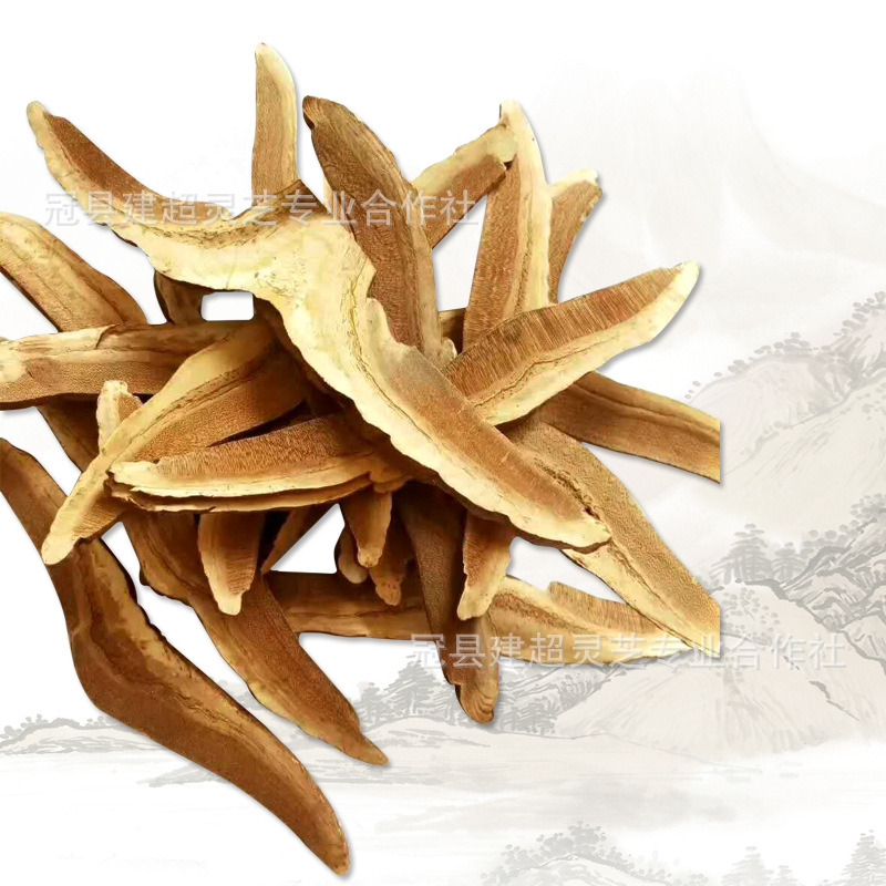 微信图片_20170814185618