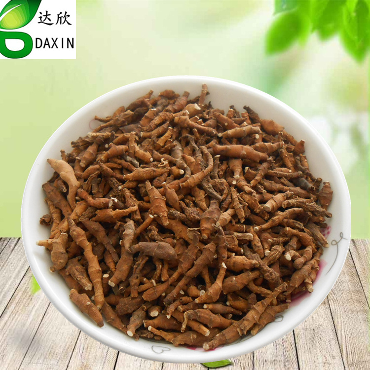 照片 042_副本_副本1