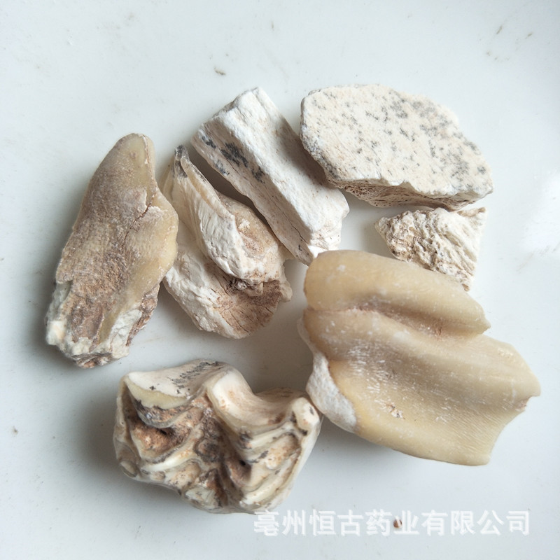 IMG20191005161848_副本5_副本