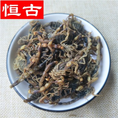 蝎子中药材批发清水全蝎 规格齐全 品质保证 量大价优全虫