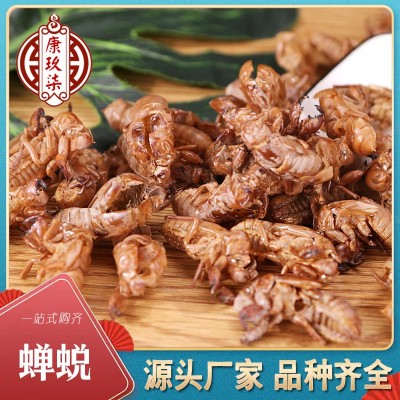 中药材批发 蝉蜕水洗蝉衣 金蝉壳知了皮产地货源无土纯净货可开
