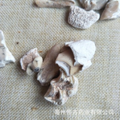 中药材批发龙齿 白龙齿 青龙齿 正品 量大价优