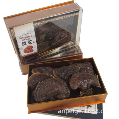 长白山特产灵芝 灵芝金边东北灵芝盒装煲汤泡酒送礼