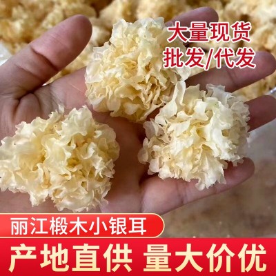 椴木小银耳 多胶白木耳雪耳丑耳食用菌干货批发500g
