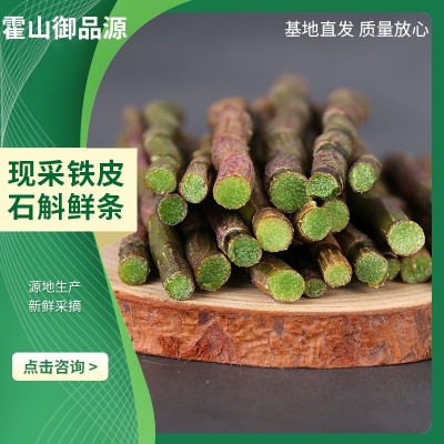 霍山产铁皮石斛鲜条500g基地直发石斛鲜条新鲜美味5年仿野生批发