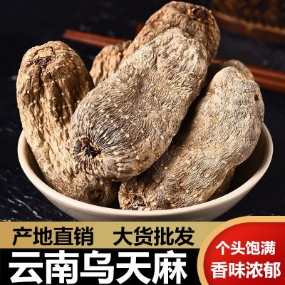 无硫天麻云南昭通小草坝天麻乌天麻丽江红天麻黑天麻超细天麻粉