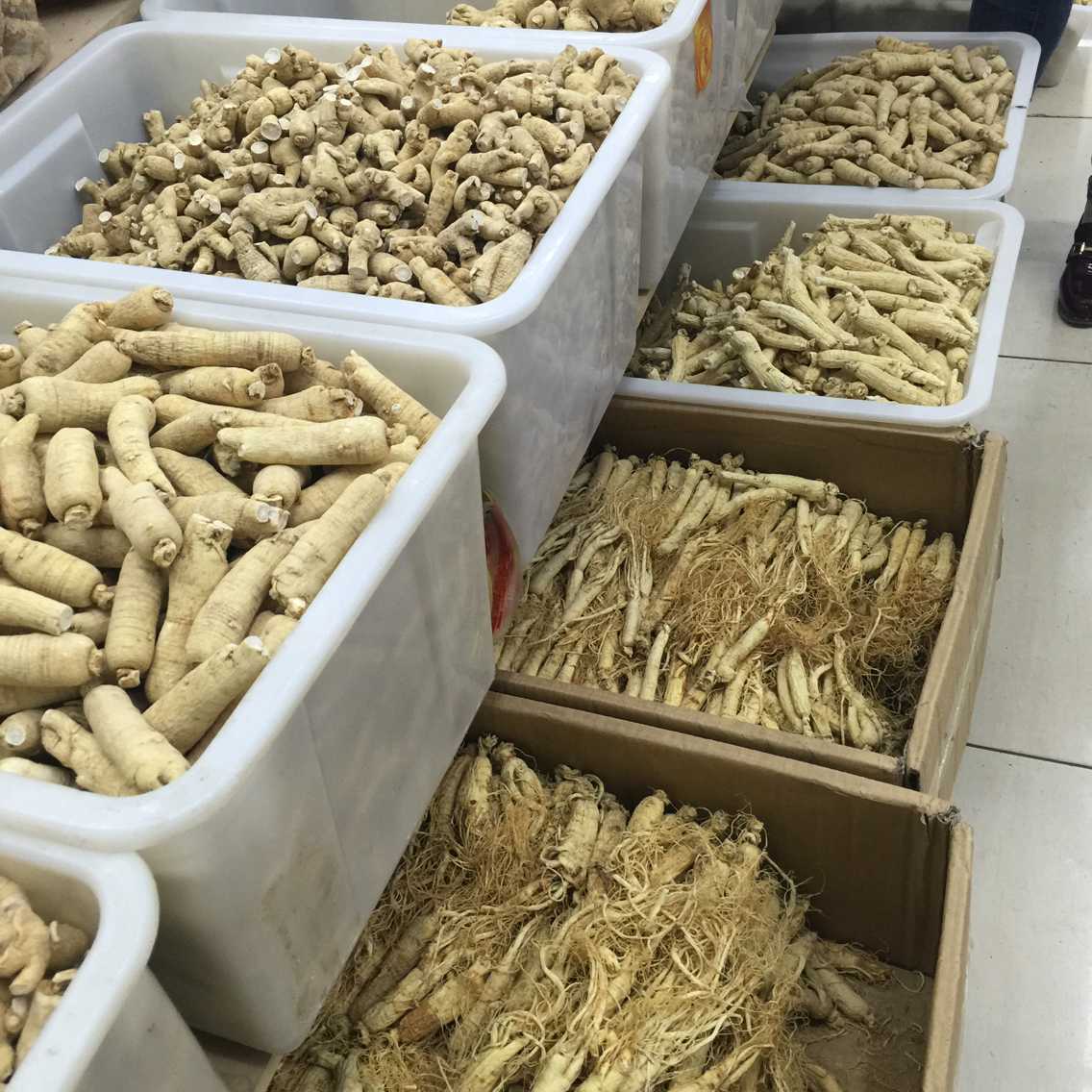 40DACD8DC6484951384939FFF1FFBD