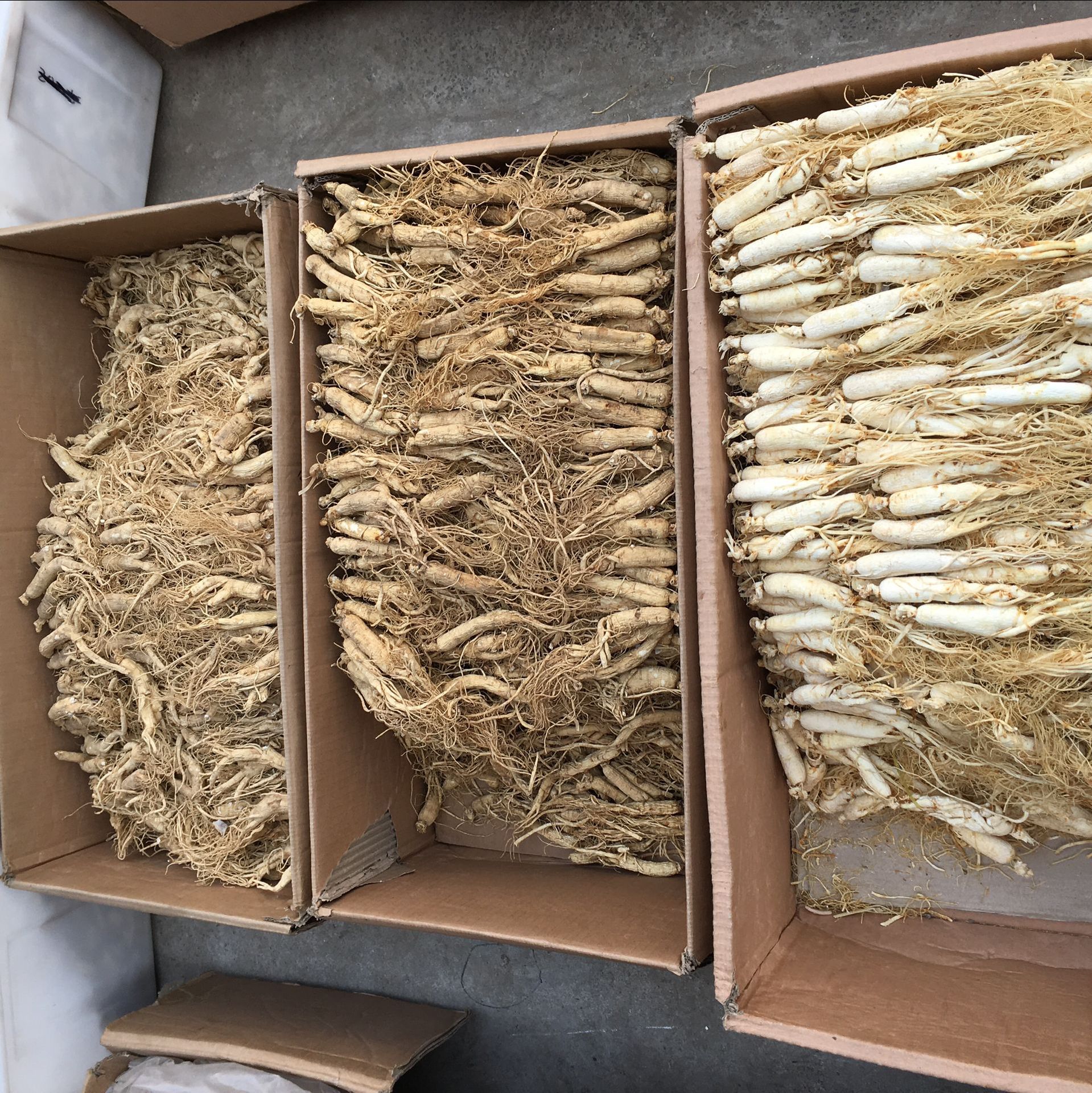 16E48ADEC3BD33EB335F9140A4A67B