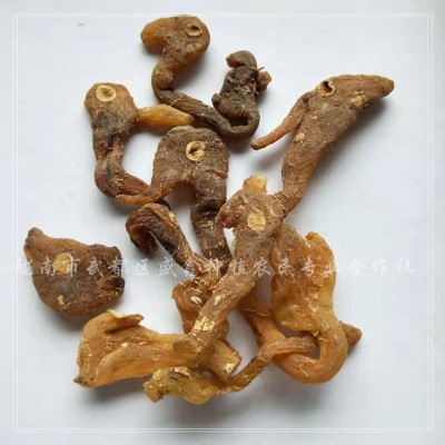 野生鸡头甜黄精滋无蛀虫无硫补泡茶泡酒炖汤煮菜养中药材颜批发