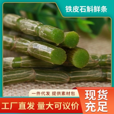 铁皮石斛鲜条500g新鲜铁皮石斛云南常温可食用农产品美味新鲜枫斗