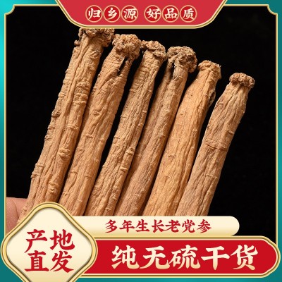 党参大条干货整支甘肃岷县晒干无硫整根泡水炖鸡养生批发 免费切片
