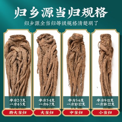 岷县当归小条正品干货无硫熏500克整根新全当归 甘肃岷县 产地批发