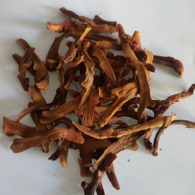 骨碎补 干货 碎补 中药材批发 1000g克