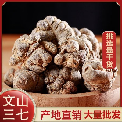 三七种植 专批发云南文山三七头田七三七粉云南文山产地大货批发