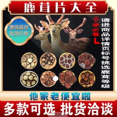 供应东北特产鹿茸片鹿茸红粉片鹿茸血鹿血片泡酒现货批发 整支切片