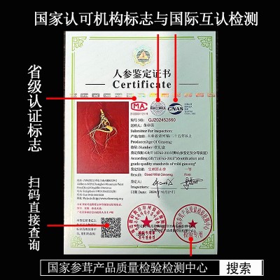 国检一等野山参长白山人参特等二等鲜人叁身礼盒泡酒专用批发